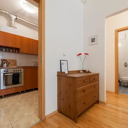 Apartment Hajos 37 - Full View Next To Opera With Ac Budapest